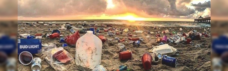 Movimento Lixo Cidadão Aumento De Lixo Nas Praias No Verão O Que Você Pode Fazer